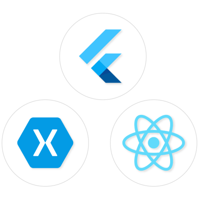 Cross-platform mobile app development